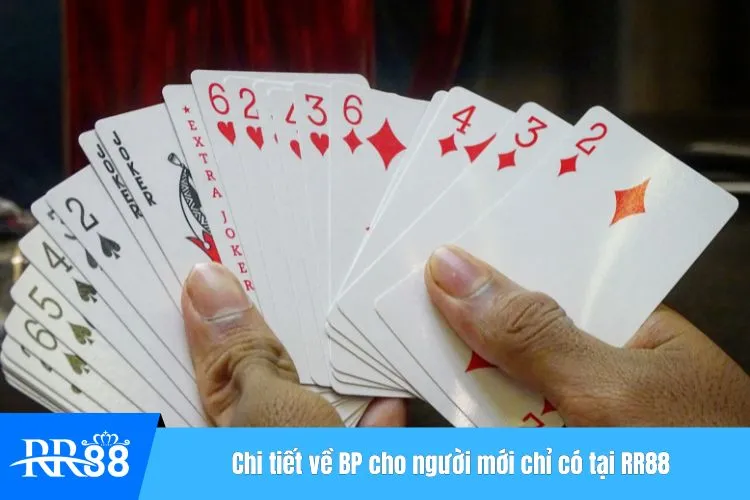 Chi tiết về BP cho người mới chỉ có tại RR88