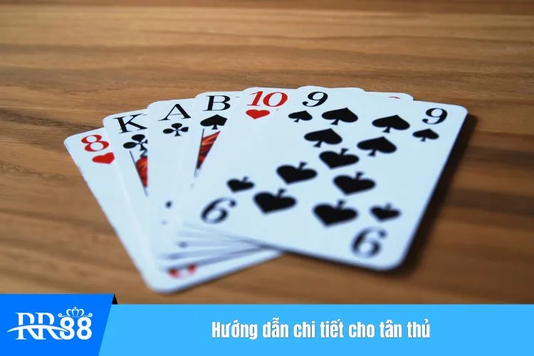 Hướng dẫn chi tiết cho tân thủ
