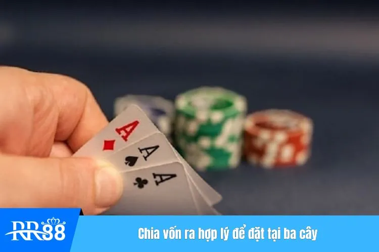 Chia vốn ra hợp lý để đặt tại ba cây