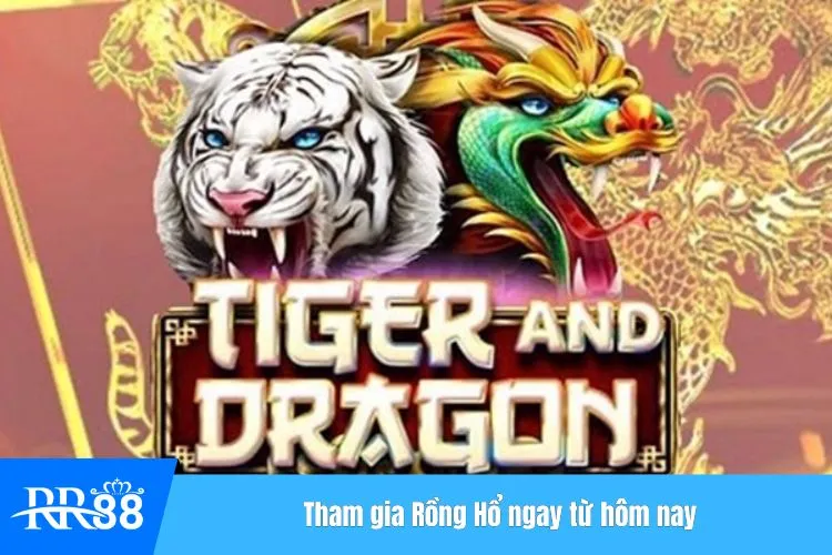 Tham gia Rồng Hổ ngay từ hôm nay