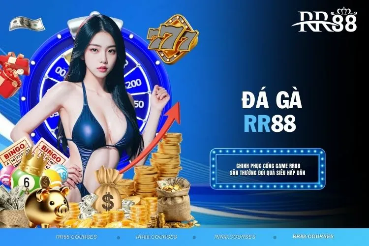 Đá Gà RR88 - Nơi Hội Tụ Những Trận Đấu Kinh Điển Số 1